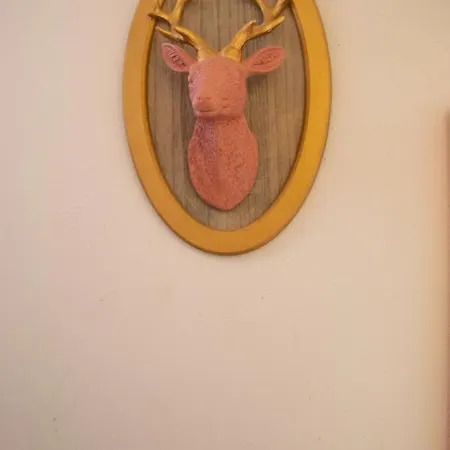 Appartement Casa Zeda - Welchome Verbania